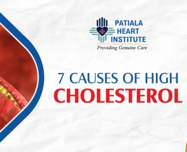 Causes of High Cholestrol
