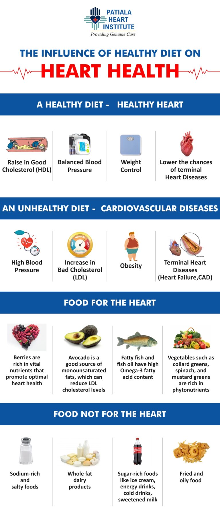 Importance of Diet for a Healthy Heart