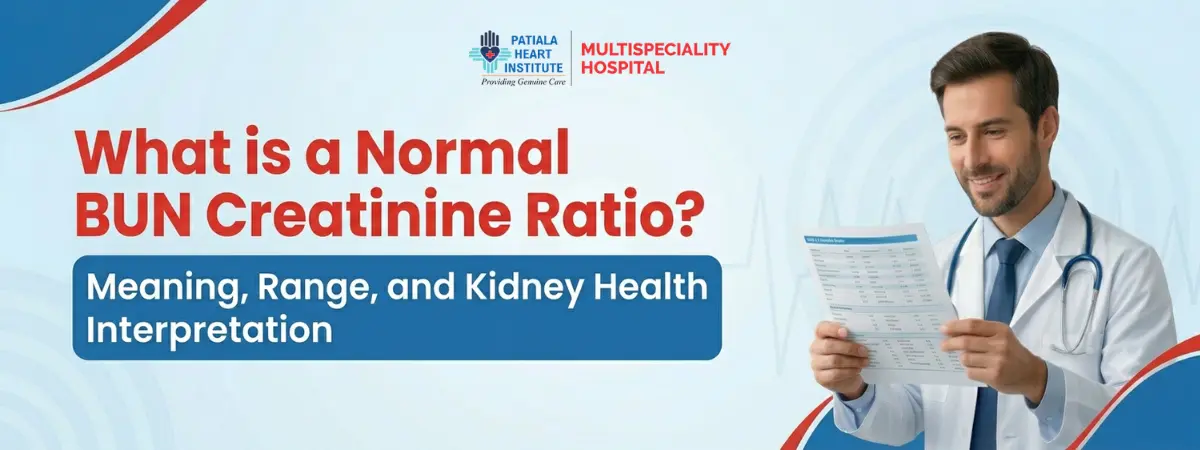 Normal BUN Creatinine Ratio Guide for Kidney Health Testing